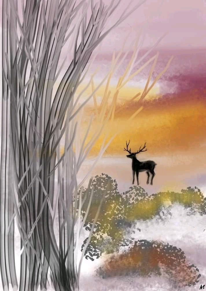 হরিণ – ১ (Deer-1)