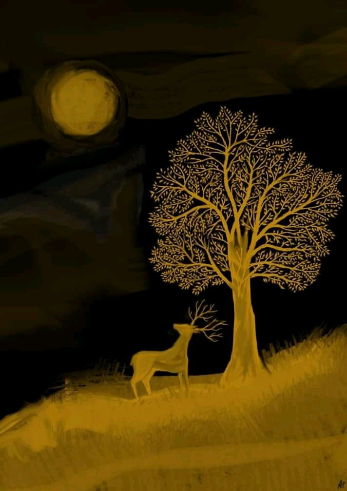 হরিণ – ১৫ (Deer-15)
