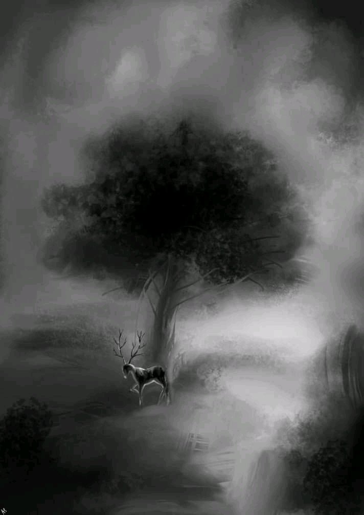 হরিণ – ৯ (Deer-9)