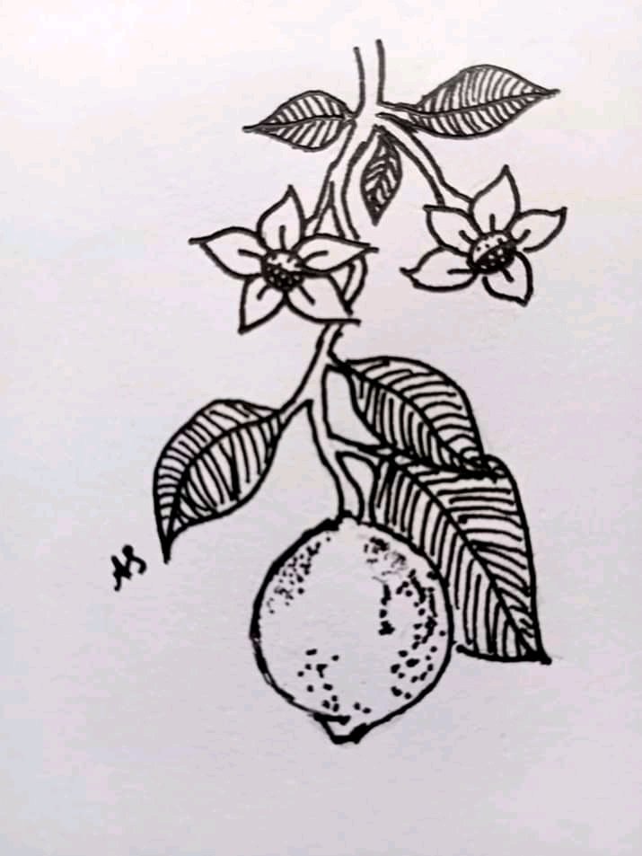 Inktober-11