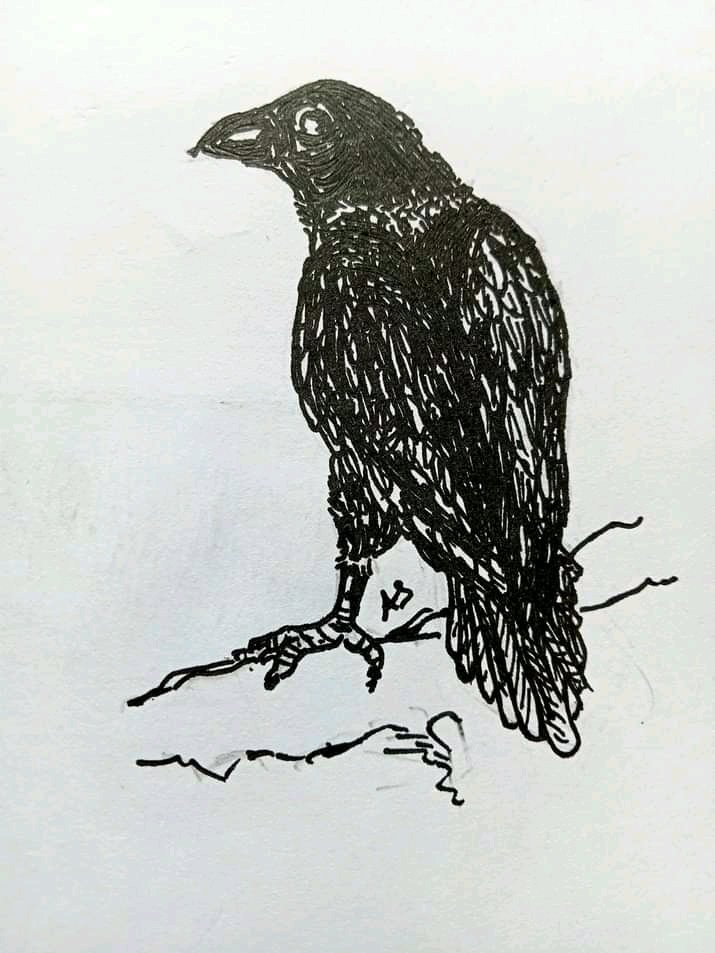 Inktober-5
