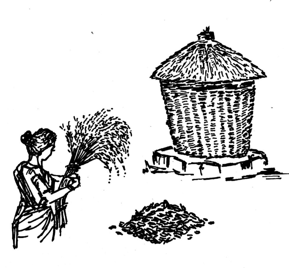 অলংকরণ-১৪, বাংলার মুখ।