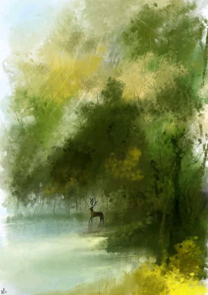 বৃক্ষছায়া