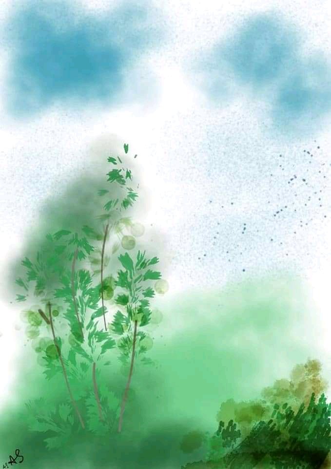 আঁকিবুঁকি – ১