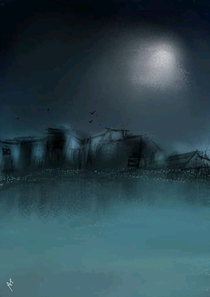 রাতপাখি